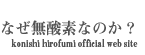 ́A_fȂ̂H konishi hirofumi official web site